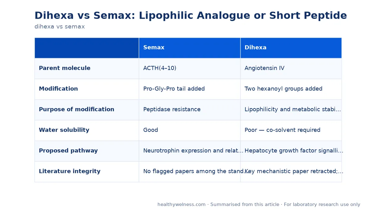 Summary card of the comparison table from the dihexa vs semax research article