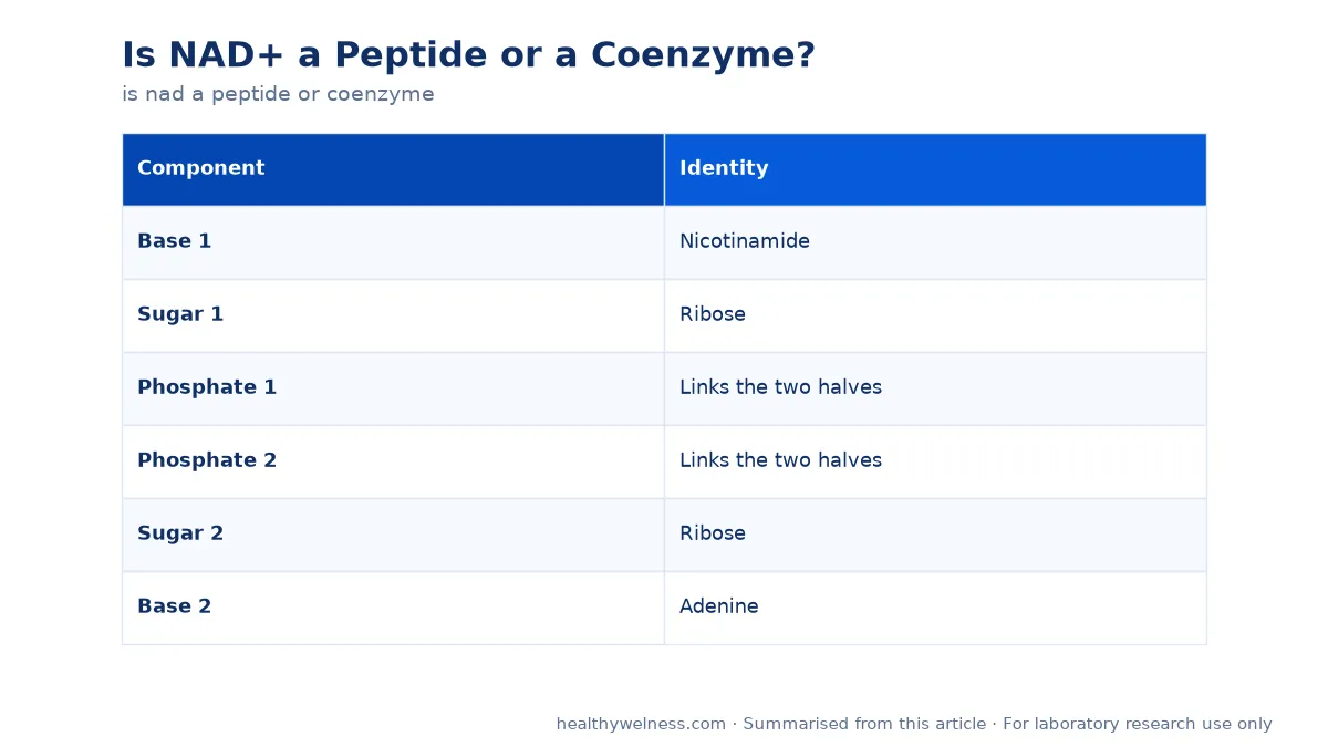 Summary card of the comparison table from the is nad a peptide or coenzyme research article