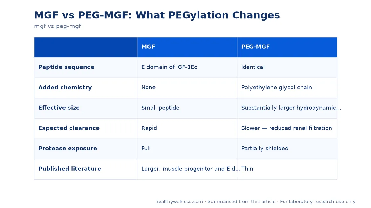 Summary card of the comparison table from the mgf vs peg-mgf research article