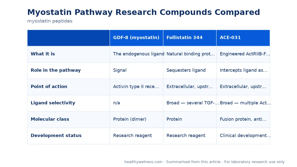 Summary card of the comparison table from the myostatin peptides research article