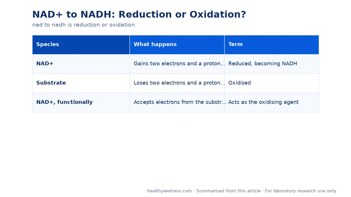 Summary card of the comparison table from the nad to nadh is reduction or oxidation research article