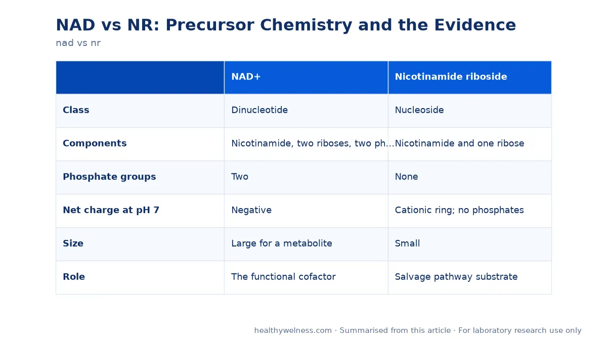 Summary card of the comparison table from the nad vs nr research article